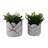Ceramic Planters With Wavy Rim And Embossed Metallic Detailing For A Modern Aesthetic, Set Of 2-769988678