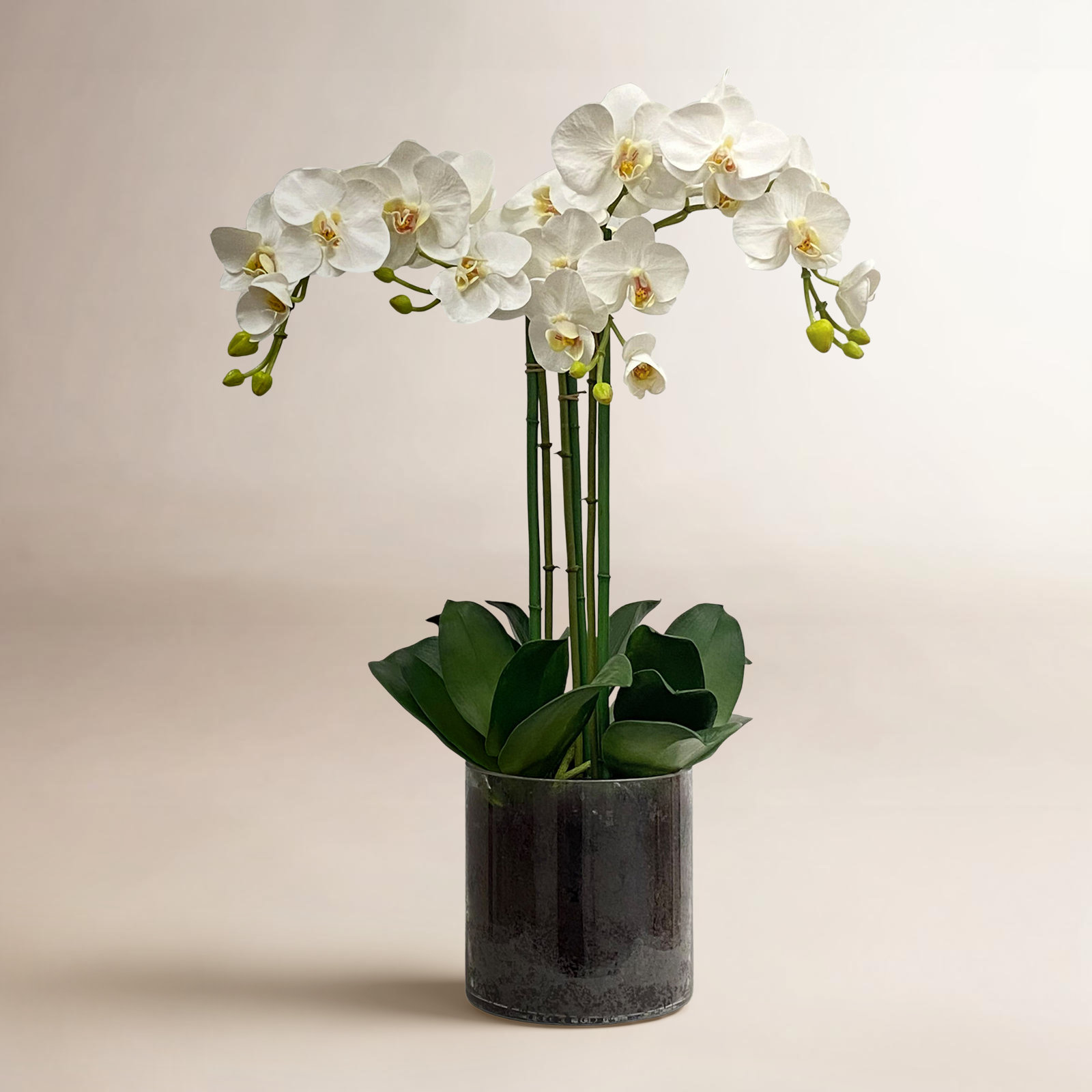 Arrangement in Vase