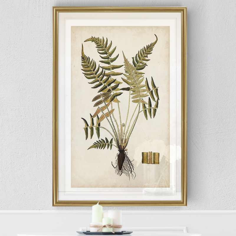« palm botanique iv »-impression sur toile, H 18,5 po x l 24,5 po x P 1,5 po, Cadre doré