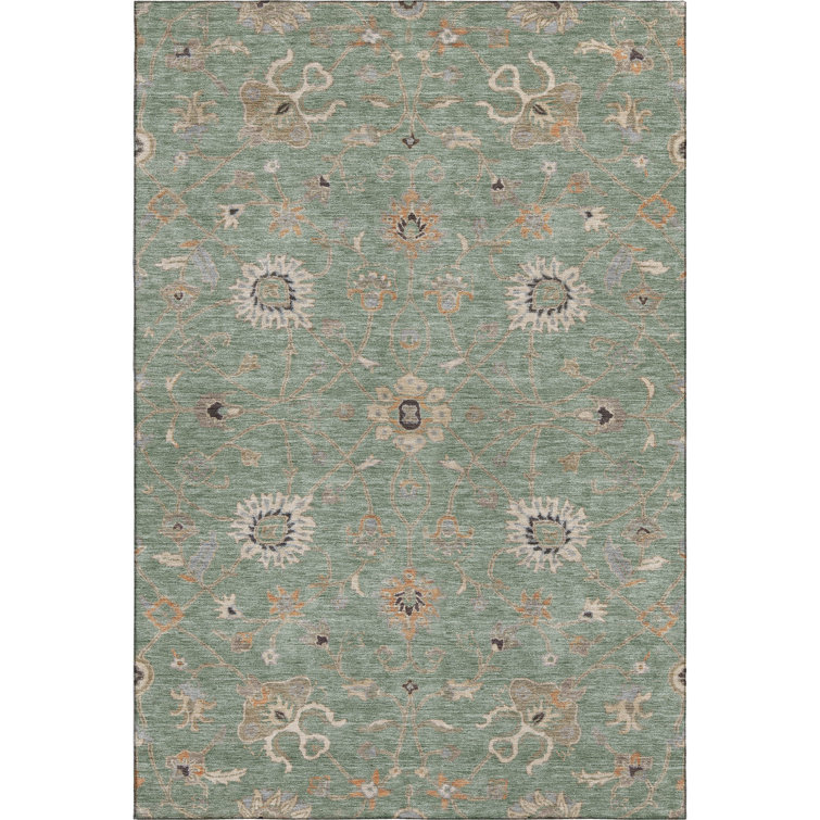 Premium Machine Washable Krause AMF1137 Global Rug