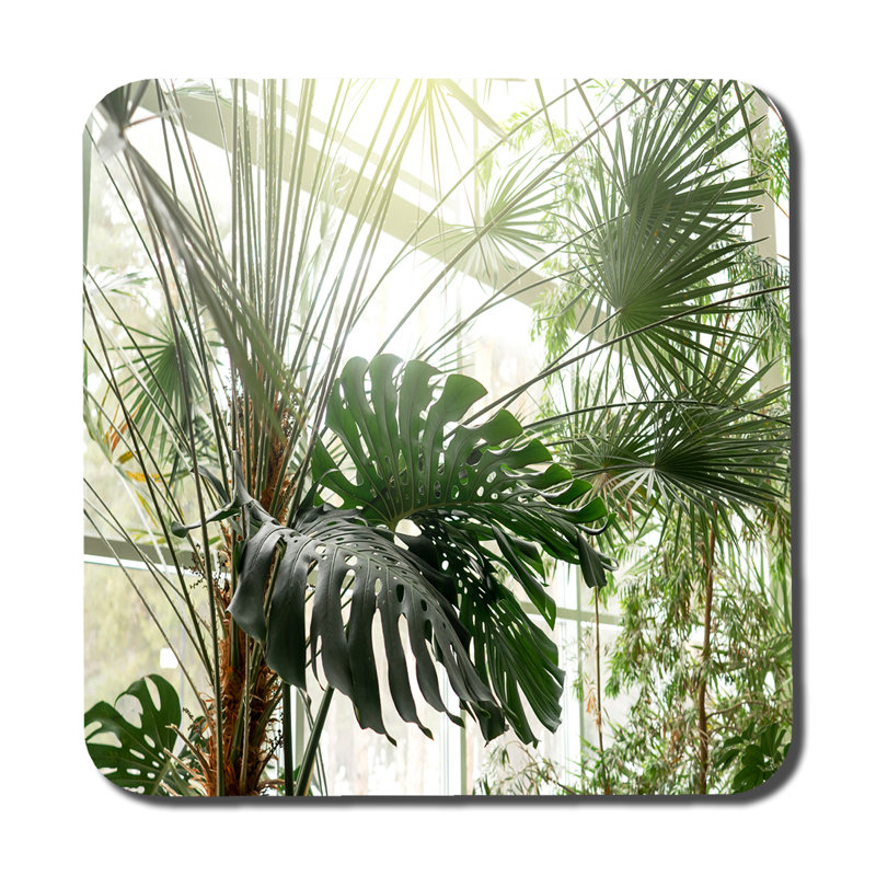 Doverspike Square 6 Piece Coaster Set