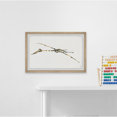 Brokaw 'Pterodactyl Skeleton' Framed Print