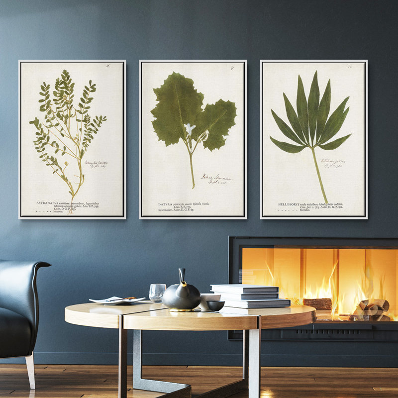 Ensemble de 3 pièces botaniques encadrées sur toile Nature, Blanc, H 40 po x l 78 po
