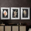 Imprimé graphique Murex rose - encadré sur mesure de qualité supérieure - 3 pièces-1318840430-1318840400