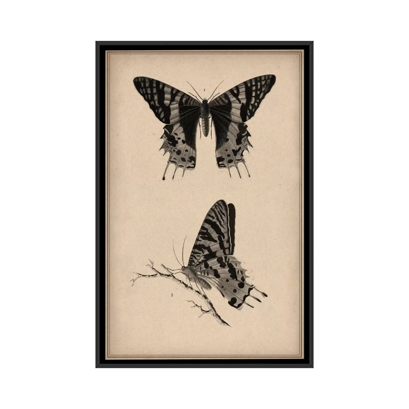 Art animalier, papillon rétro, impression sur toile tendue, H 26 po x l 18 po x P 1,5 po, Toile avec cadre flottant noir