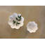 Twig Bone China Serving Bowl