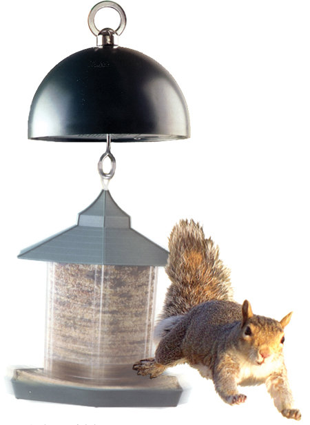 Squirrel Guard