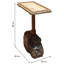 Asahn Solid Wood Frame End Table