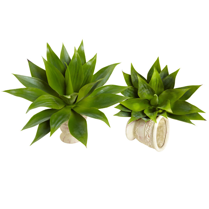 17'' Agave Plant