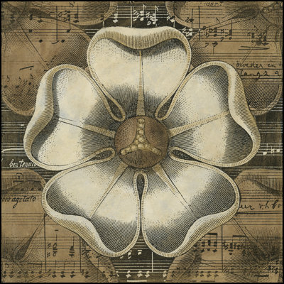 Rosette Detail VI 1 Piece Wrapped Canvas Wall Art