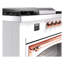 ILVE Nostalgie II Noblesse 60 inch Dual Fuel Range  (7 Sealed Burners + Griddle + French Top, Triple Glass Door, RAL)-101090796-101090784