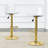 Modern Adjustable Swivel Bar Stools with Clear PET Backs (Set of 2)-948509029