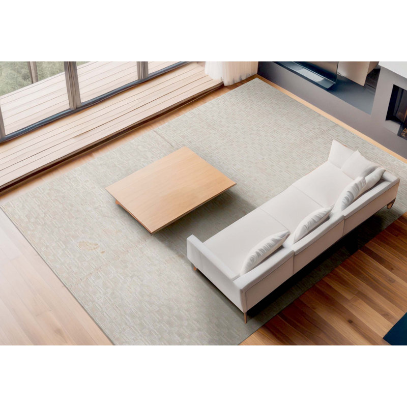 Area Rug in Beige
