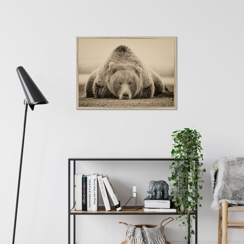 Deep Sleep 1 Piece Wall Art, 34cm H x 50cm W, Natural Wood Framed Paper Print