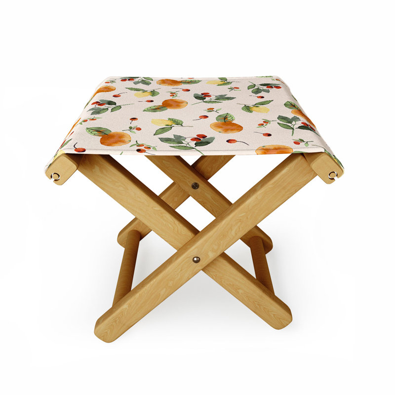 Folding Camping Stool