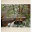 Arbre nandina moderne et minimaliste moderne pour la décoration intérieure