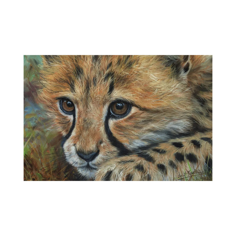 Cheetah Cub Close by David Stribbling - Print on Canvas, Wrapped Canvas, 20.32 cm H x 30.48 cm W