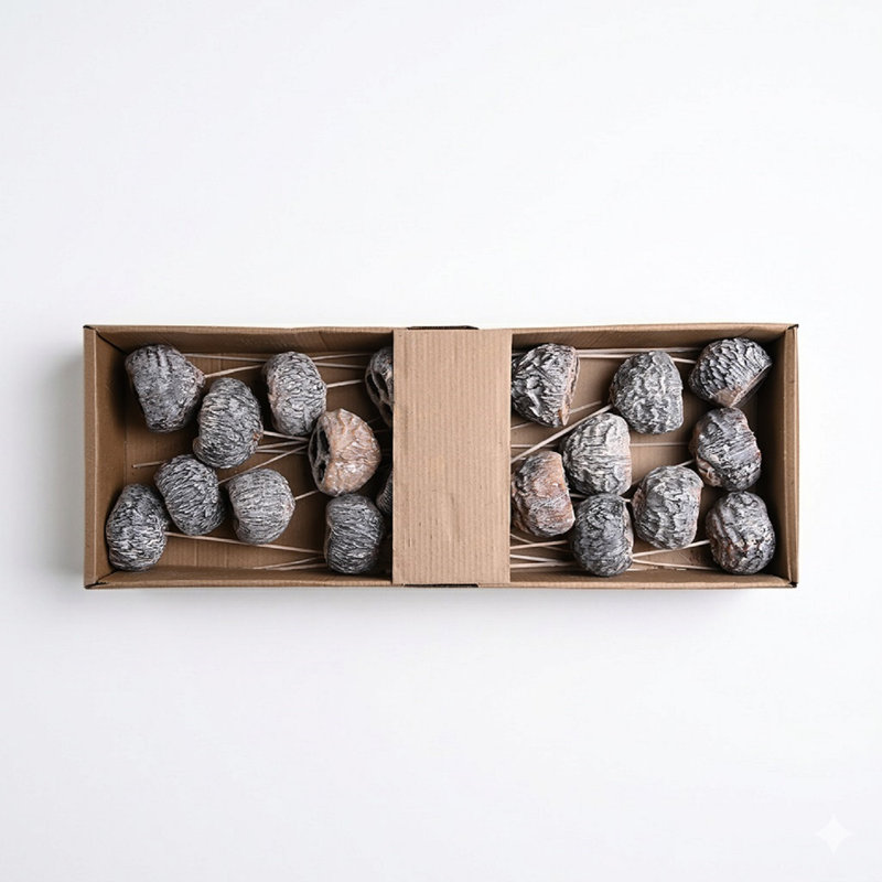 Plateau Talami On Stem 20Pc