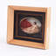 Portrait of a Reclining Muse 19th Century French Hand-Painted French Miniature Nude