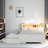 Ana-Lucia Platform Bed with LED Storage Headboard and Trundle, Three Drawers-1988656963