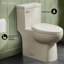 Toilette une pièce Classe-44637969-63694535