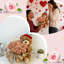 Ours en peluche avec rose, peluches douces pour la Saint-Valentin, ours en peluche, cadeau pour petite amie, décoration de mariage