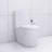Elongated One Piece Toilet White-124934880