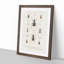 Beetle Illustrations PL.1 by Charles D'Orbigny - Single Picture Frame Print-55543794-55543795