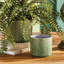 Holiday Handmade Ceramic Planter