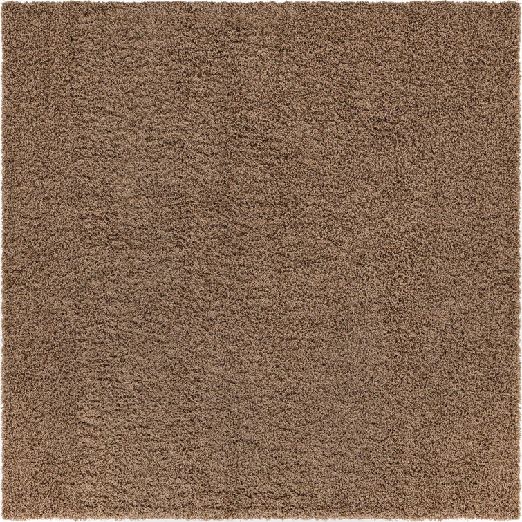 Rodolphe Performance Indoor Rug
