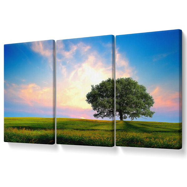 Ebern Designs Fresh Nature - 3 Piece Wrapped Canvas Print | Wayfair.co.uk