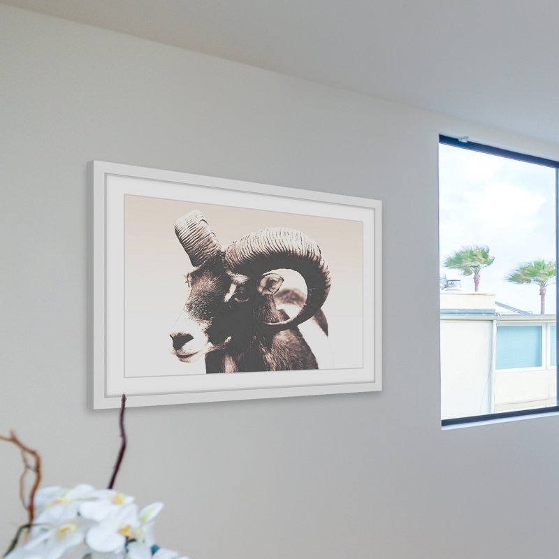Parvez Taj - Single Picture Frame Print, 41cm H x 61cm W x 3.81cm D