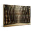«Tree Path II» Parvez Taj - reproduction sur bois de pin naturel-1389020172
