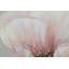 Flower of Faith Hand Painted Acrylic Painting