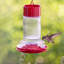 Mangeoire à colibri Gravity - Cerisier de charme