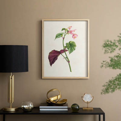 Pretty Pink Botanicals VI Framed Print - Solid Wood