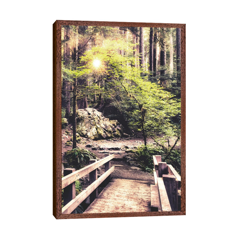 Sunlight on the Forest Path 1 Piece Wall Art on Canvas, 66.04 cm H x 45.72 cm W, Classic Brown Wood Framed Canvas