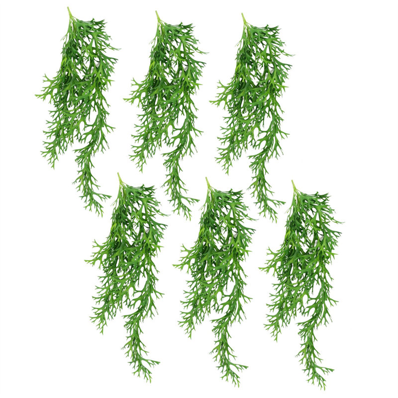 Pack of 6 x 80cm Hanging Staghorn Fern
