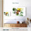 Colibri Brampt havre-107869677
