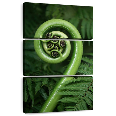 Harnek Fern Frond