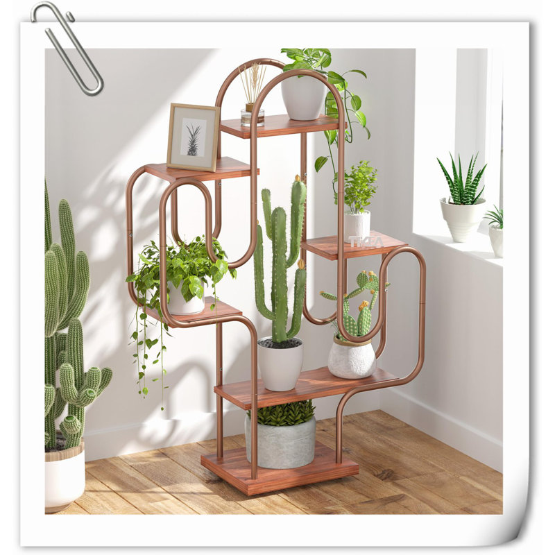 Cactus Palaiseur, étagère d'angle pour plantes d'intérieur, Or