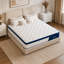 Matelas pour grand lit 12 po, hybride moelleux moyen avec ressorts ensachés individuels et mousse viscoélastique rafraîchissante, lit dans une boîte, certifié CertiPUR-US-129171947-129171946