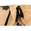 Tapis noir Mullings
