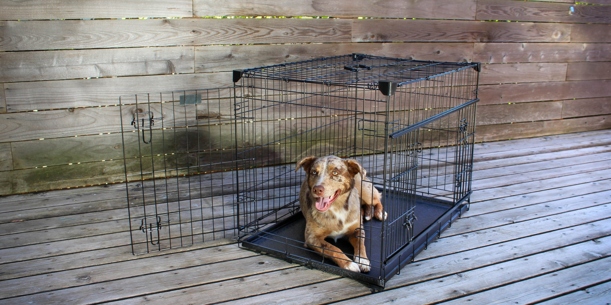 Tucker Murphy Pet™ Seaforth Pet Crate with Sliding Double Door