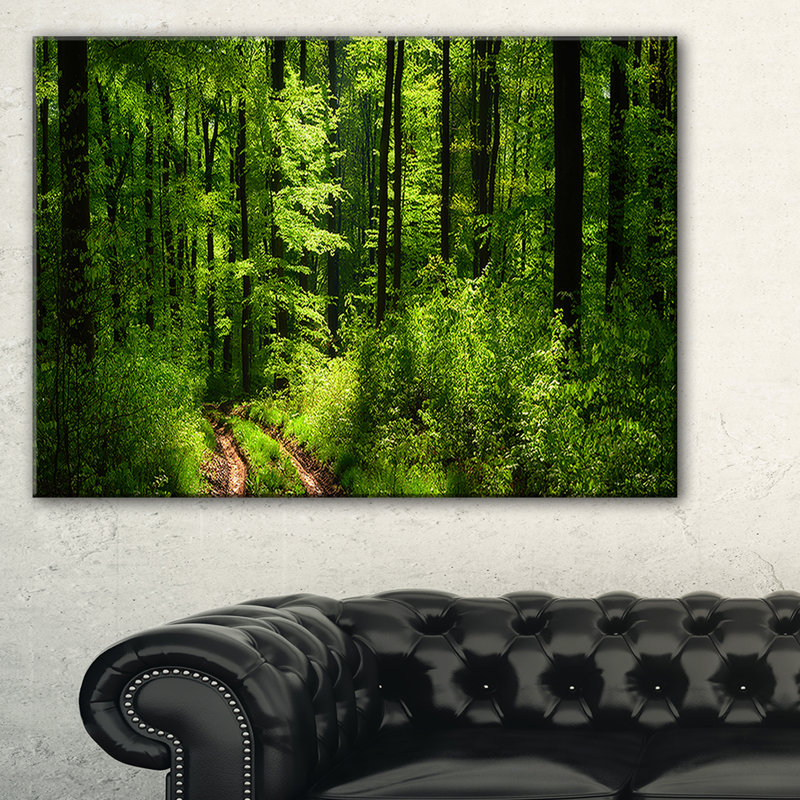 « green », reproduction de photo sur toile tendue, reproduction de photo dans une forêt sauvage, H 16 po x l 32 po x P 1 po