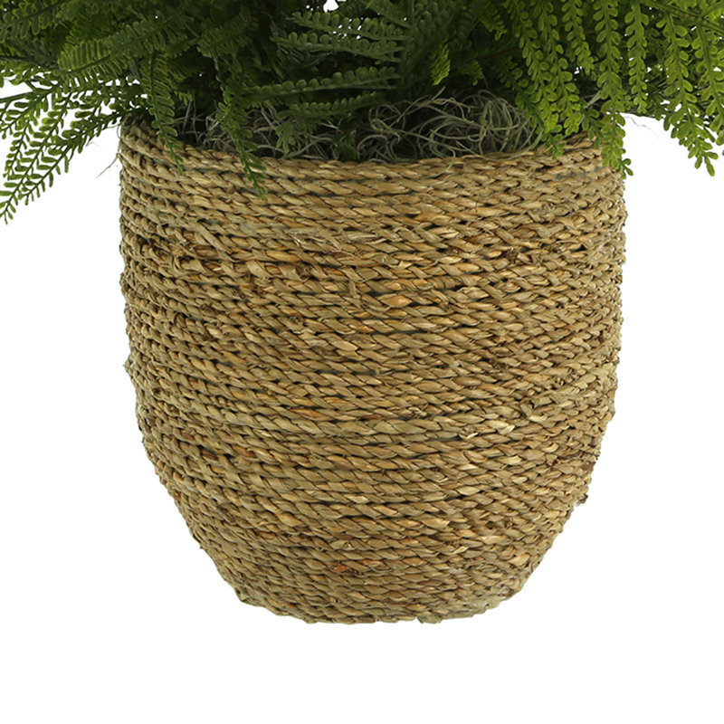 Outdoor UV-Rated Ostrich Fern in Straw Grass Wrapped Pot