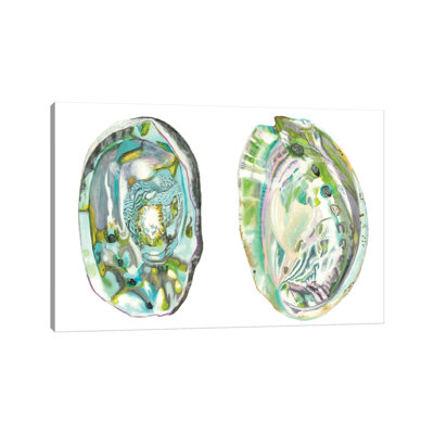 Abalone Shells II by Naomi McCavitt - Wrapped Canvas Print