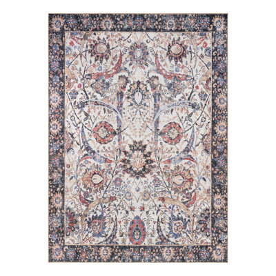 Mailen Performance Chenille Floral Indoor Rug