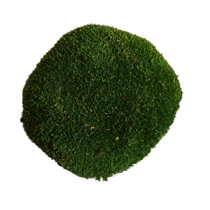 38 Pieces Moss Balls Decorative Green Plant Mossy Globes Dried