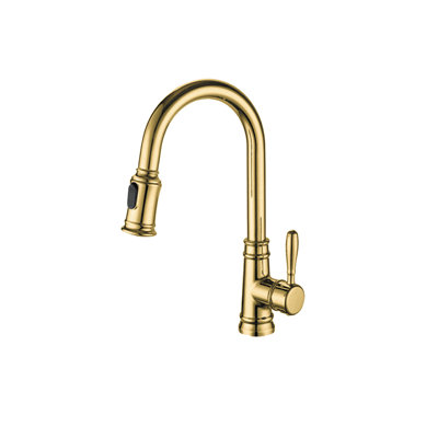 AGUA CANADA Monaco Pull Down Kitchen Faucet